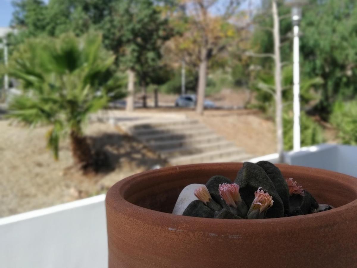 Piedranegra, Apartamento Completo Con Patio, Terraza Y Bbq Rodalquilar Exteriér fotografie
